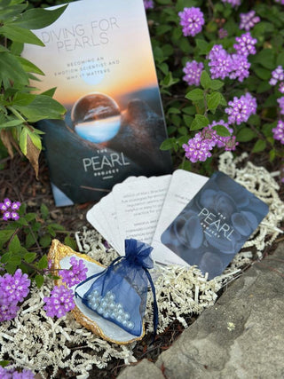 Diving for Pearls Mental Health Kit by The Pearl Project