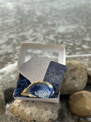 Diving for pearls mental health kit on ocean rocks