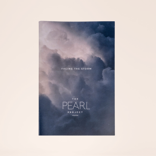 Facing the Storm therapist-created guidebook for seasons of hardship.
